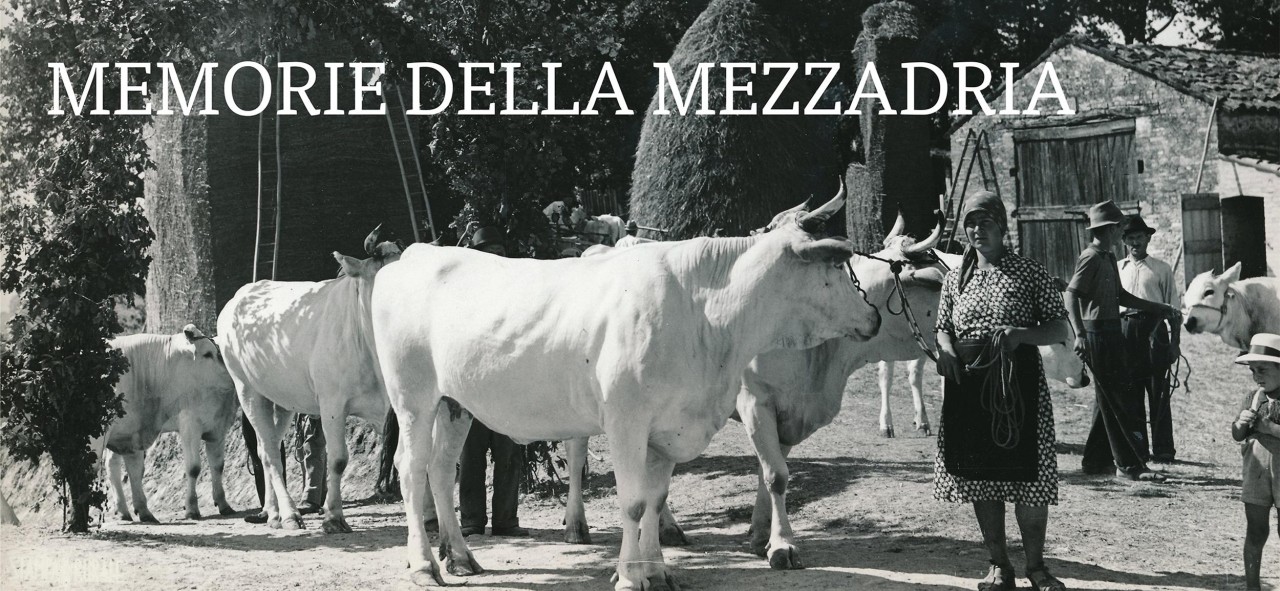 Storia del passato, la Provincia <br> “rispolvera” la Mezzadria