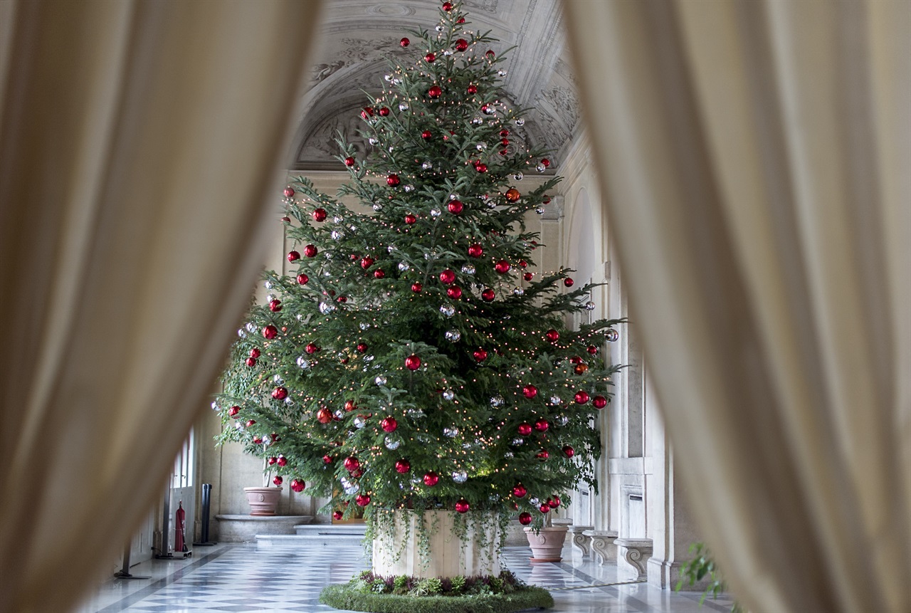 Al Quirinale l’albero di Natale <br> donato dai terremotati di Acquasanta