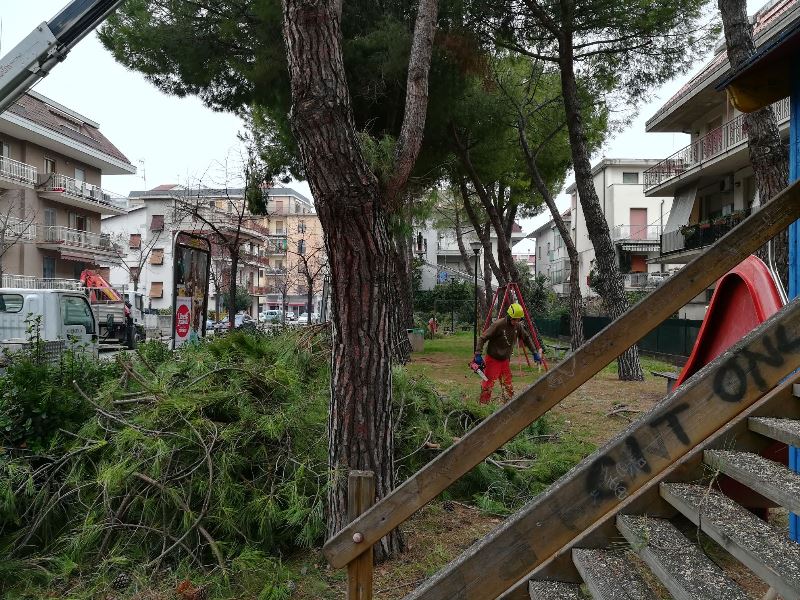 Riqualificazione del verde <br> Parte il piano del Comune