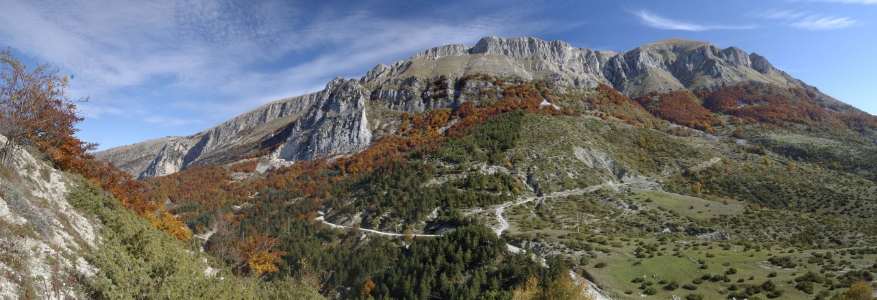 I rimboschimenti storici <br> della Montagna dei Fiori