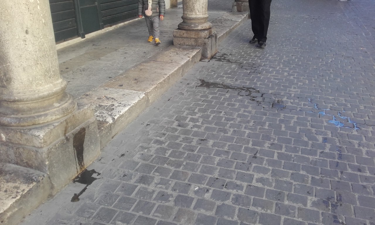 Piazza del Popolo e le vie del centro <br> trasformate in toilette per cani