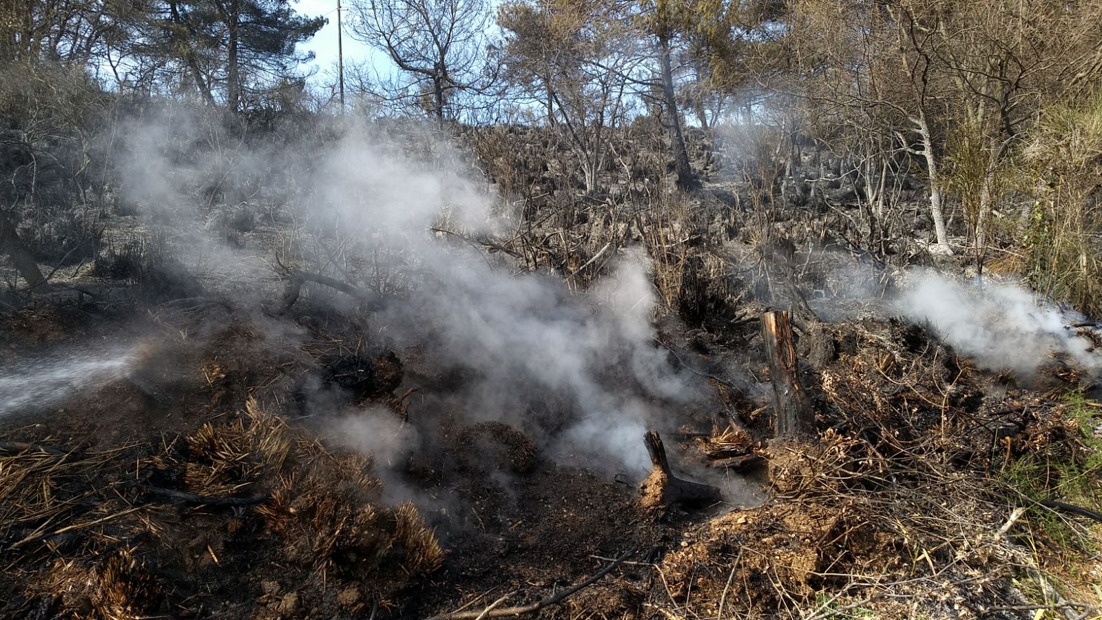 Incendio sulle colline di Pedaso <br> Pompieri in azione da sette ore