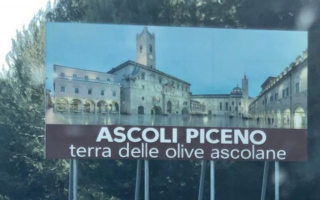 Oliva Dop, il Consorzio festeggia e riparte <br> Confindustria prepara la richiesta di Igp