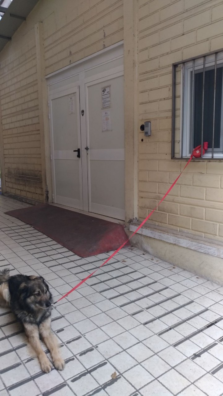 L’accoltellatore del Sert si pente: <br> «E’ sotto shock, non ricorda nulla»