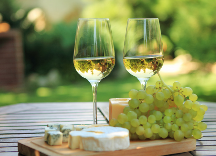 Evento enologico di Camera Marche per il Consorzio dei Vini Piceni, in collaborazione con “Linfa”