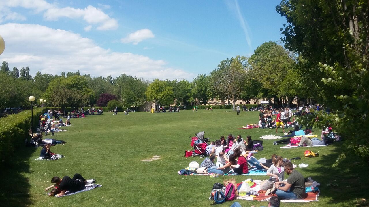 Pranzo al sacco <br> del primo maggio, <br> pronti 6mila quintali di fave