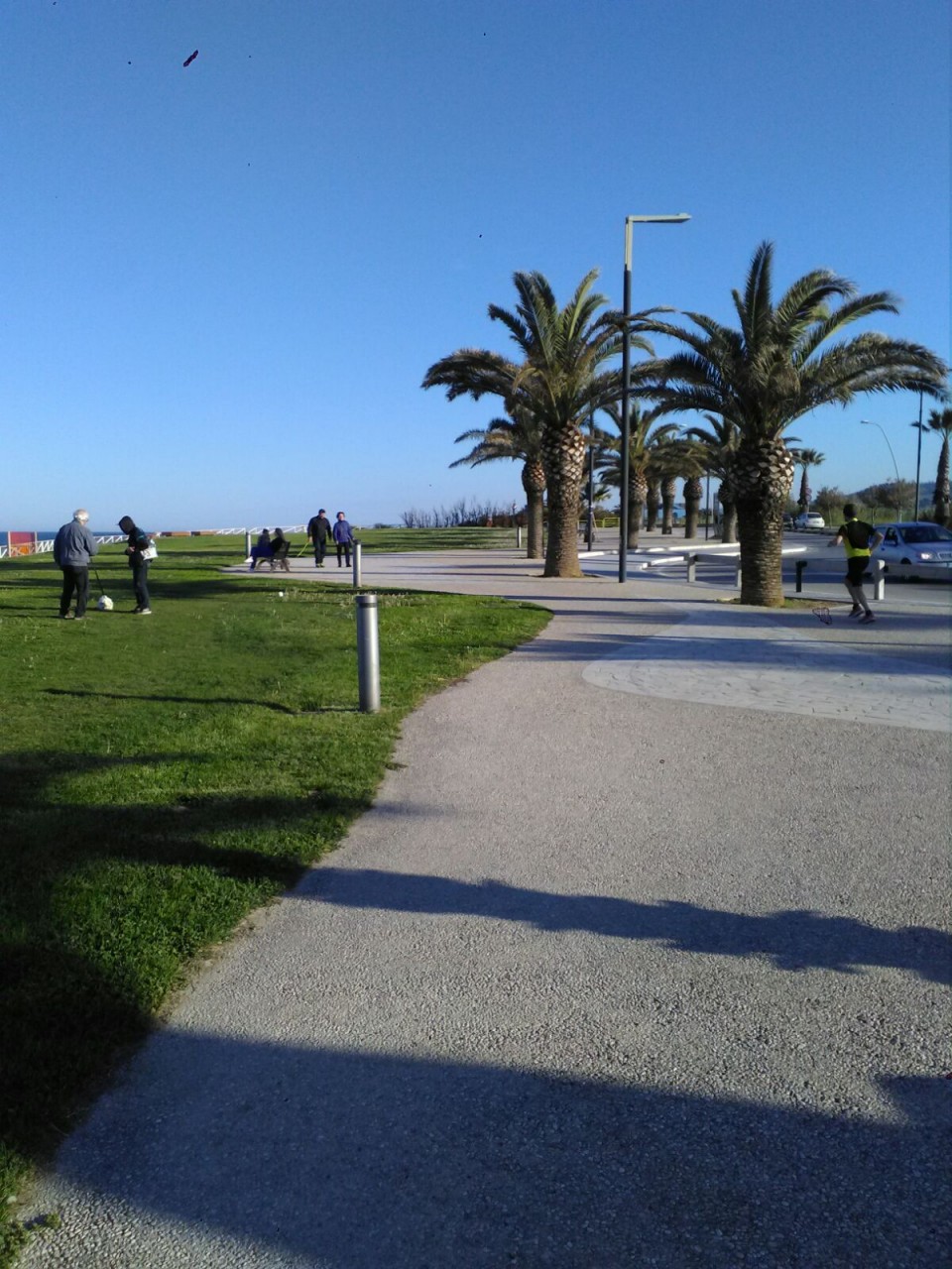 “Cactus al mare”, <br> il weekend ha il pollice verde