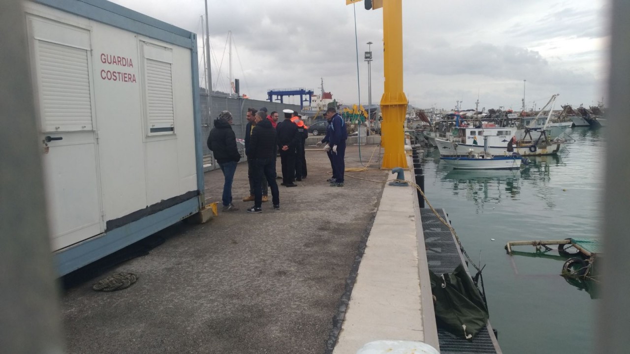 Catturato il daino <br> a spasso per il porto