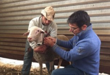 “Gli animali domestici <br> predicono il terremoto”: <br> Unicam al convegno di Vienna