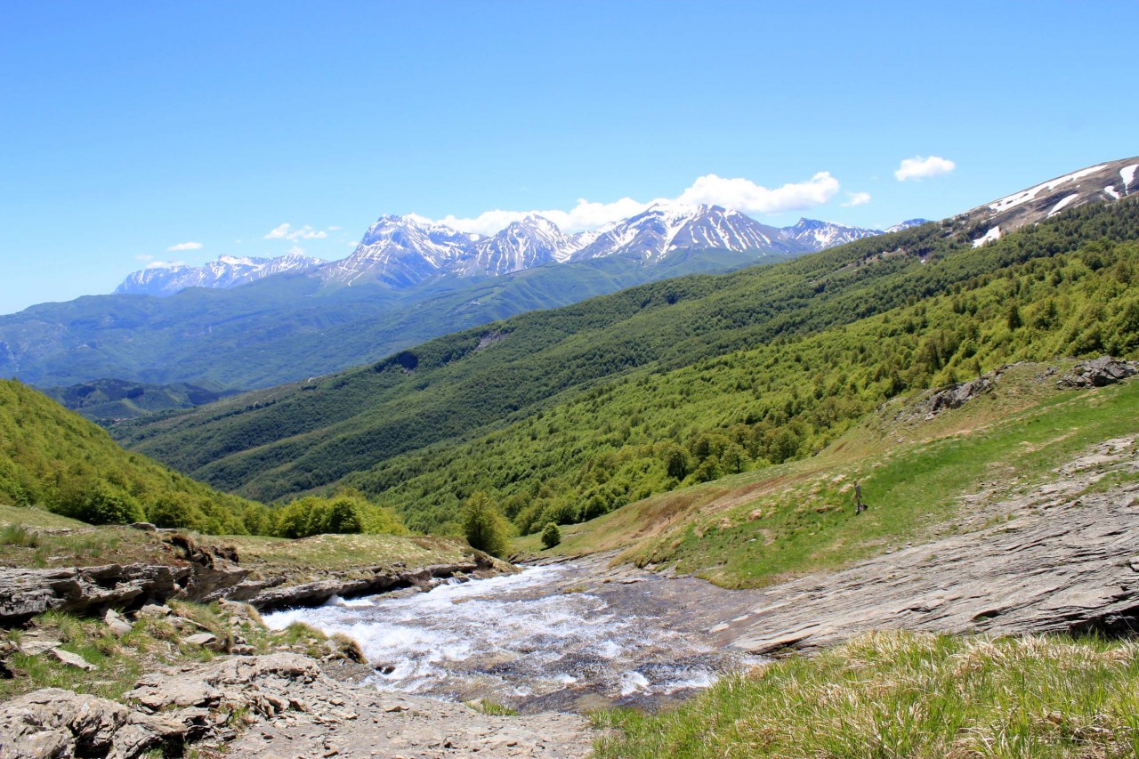 Un mare di verde <br> I boschi della Laga