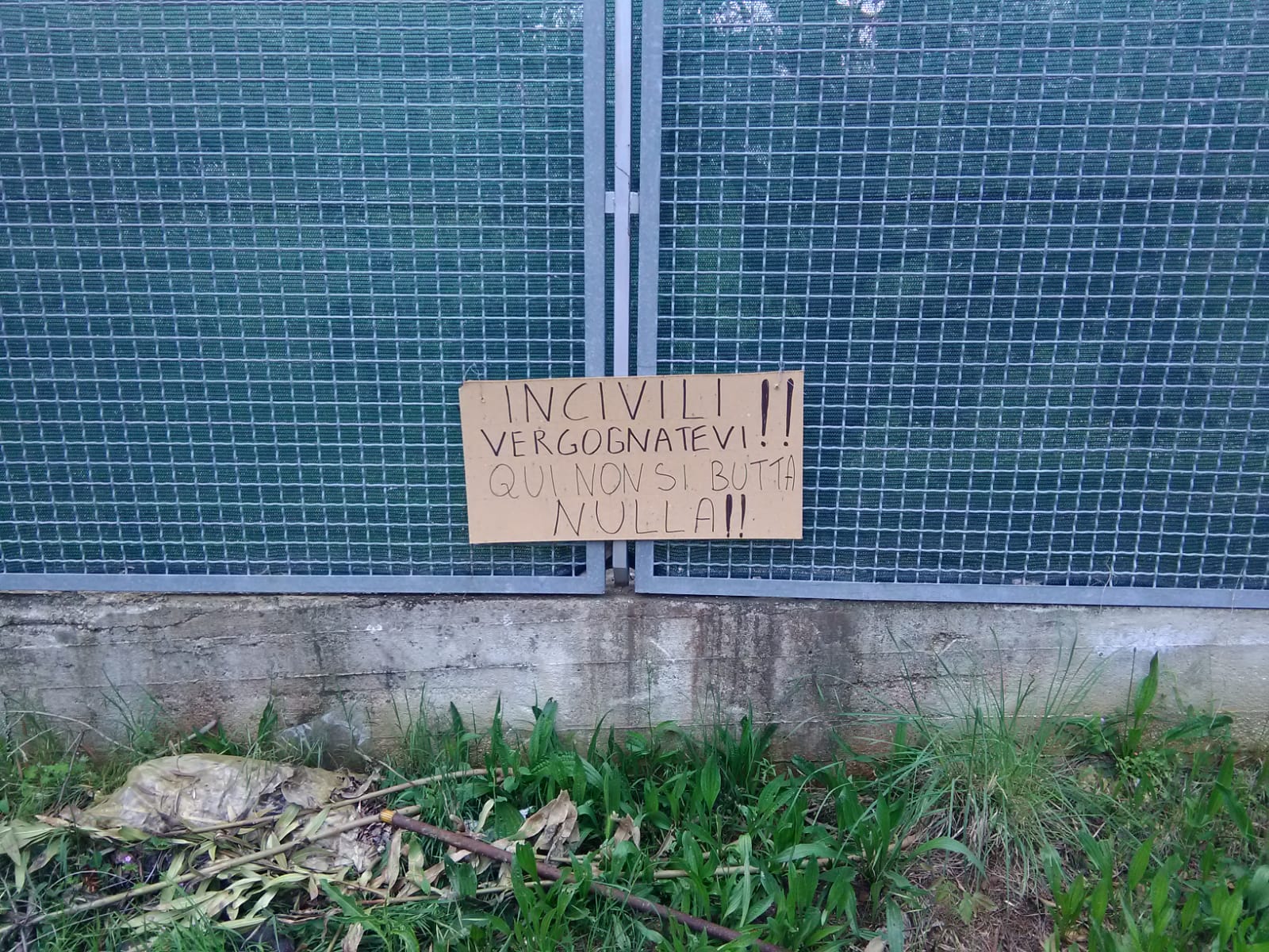 Il rifiuto vegetale dove lo butto <br> Vita dura per i cittadini ligi al dovere