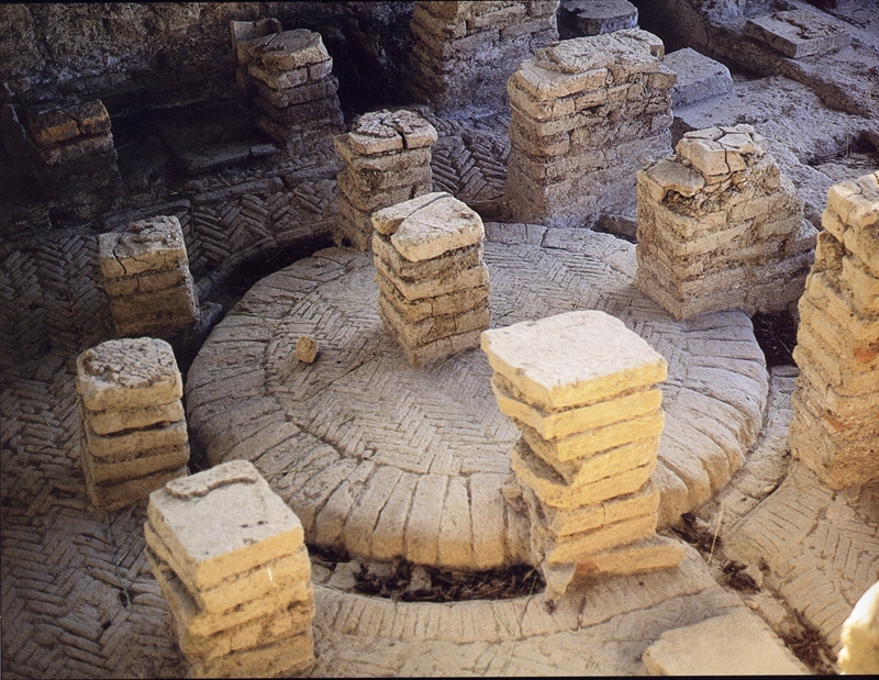 Museo archeologico del territorio <br> prossima tappa <br> della “camminata”