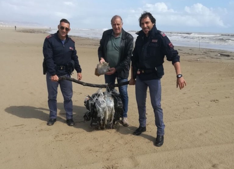 San Benedetto, dal mare <br> spunta una maxi balla di marijuana