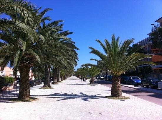 Occhio alle strisce blu: dal 2 giugno <br> parcheggi a pagamento sul lungomare
