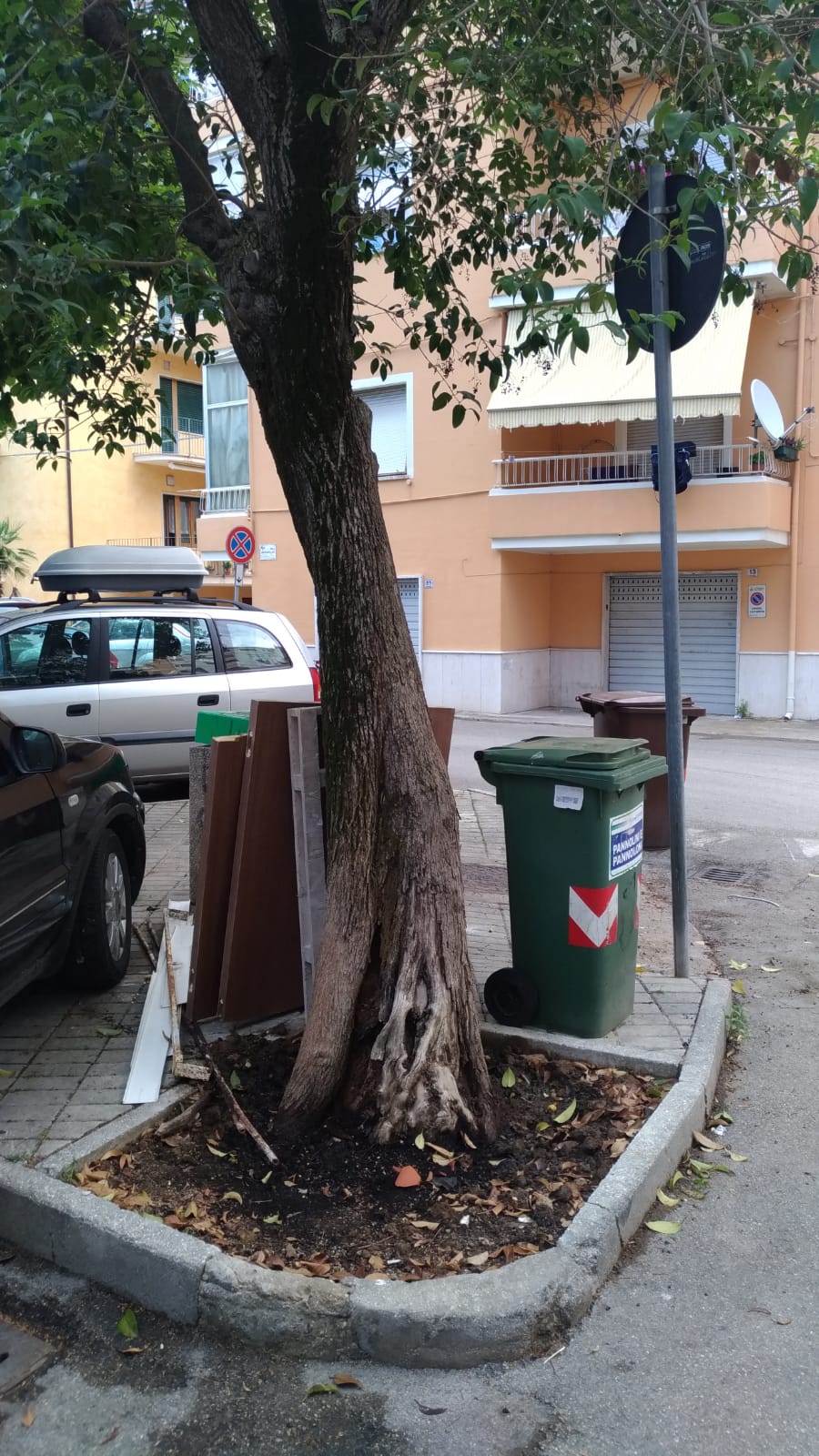 Alberi “innaffiati” con la nafta <br> A rischio il verde <br> de “Lu fusse dei Funari”