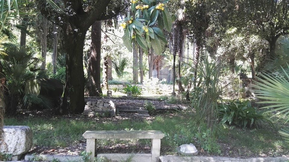 L’Antrophos riqualificherà <br> il parco di Villa Rambelli