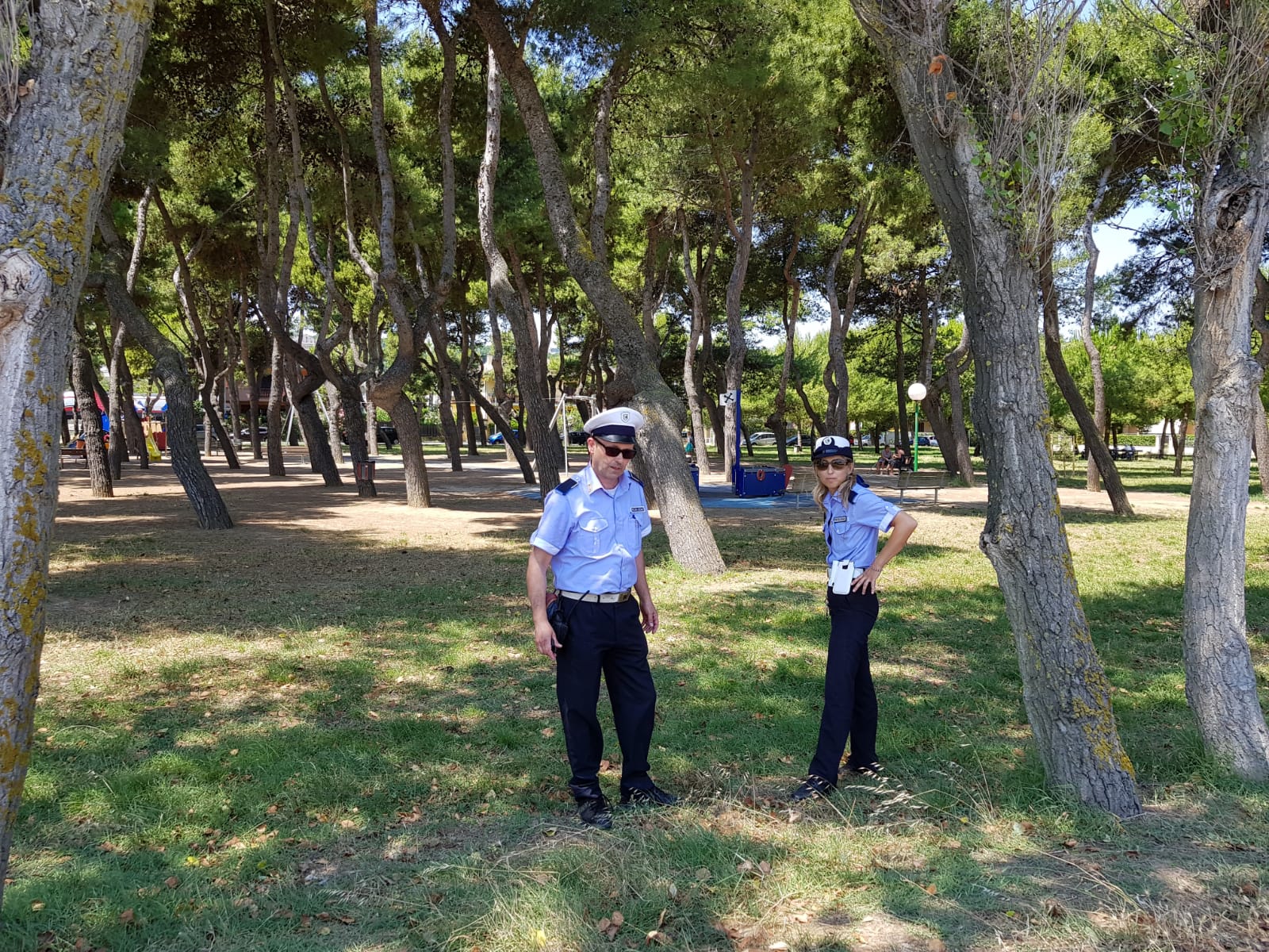 Scene hard tra due ragazze <br> in pineta, arriva la Municipale