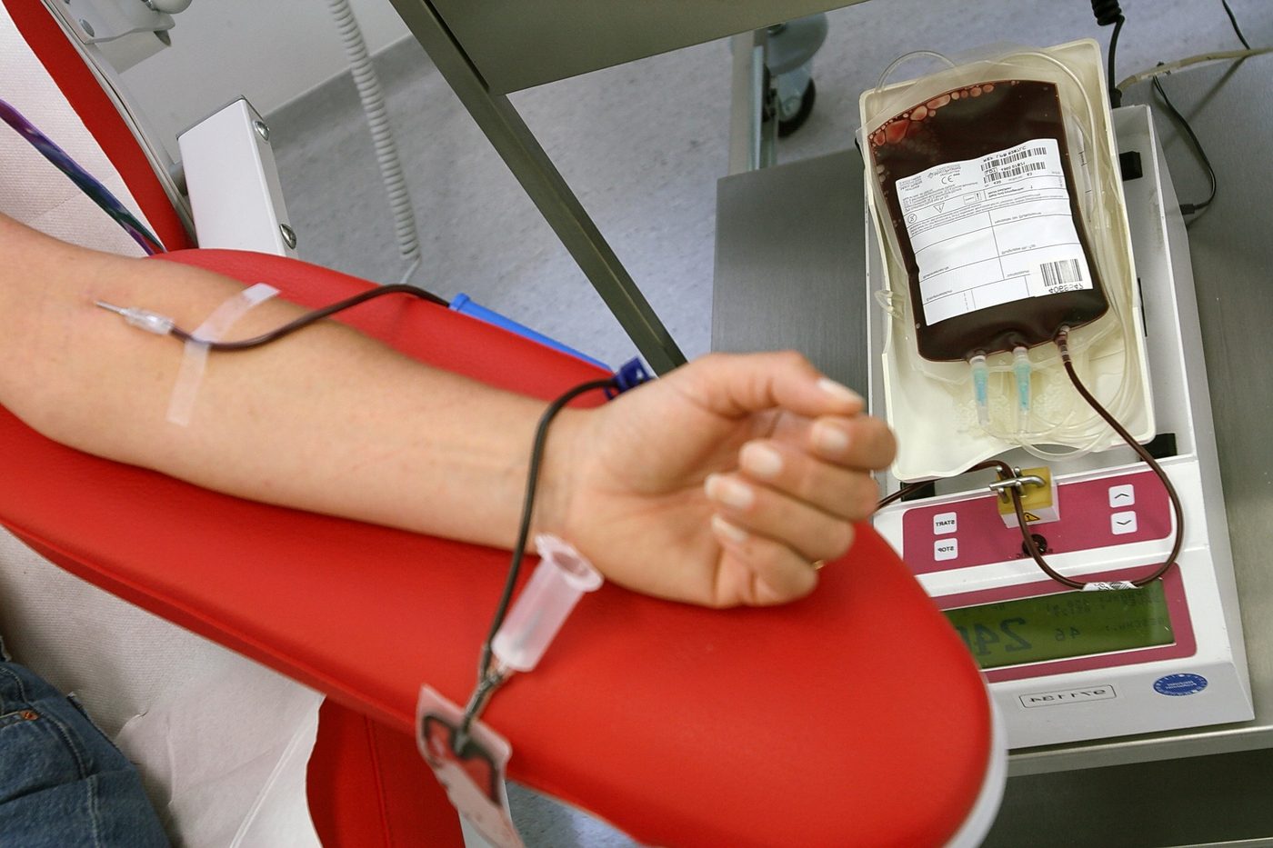 Donatori di sangue in festa <br> con premiazioni e lancio di palloncini