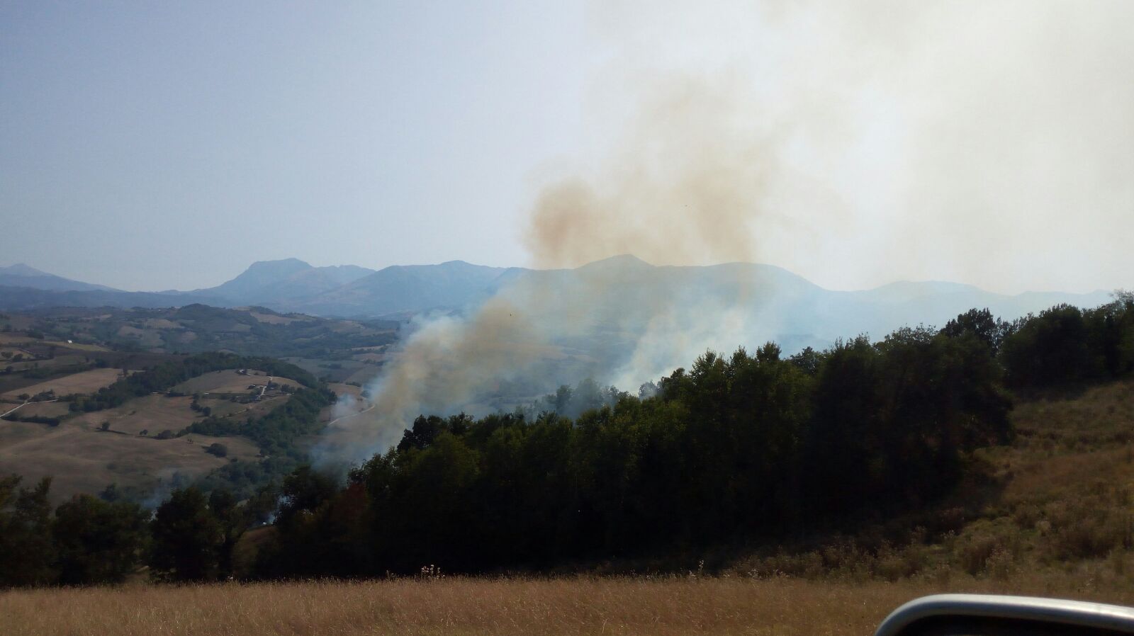 Incendi, il sindacato dei pompieri: <br> «Regione in ritardo per l’estate»