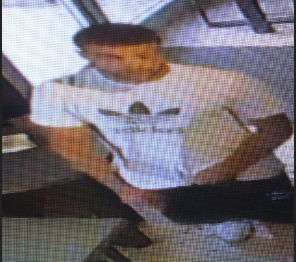 Barista pestato dentro al locale, <br> appello per trovare l’aggressore <br> <span> (Foto e Video) </span>
