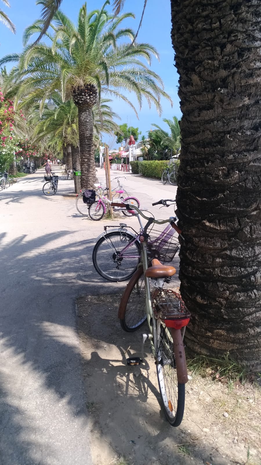 Bici abbandonate per strada, <br> iniziate le rimozioni