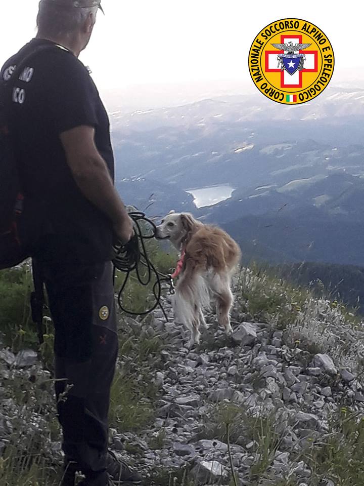 Giovane nel burrone, <br> dopo il padrone <br> recuperato anche il cane