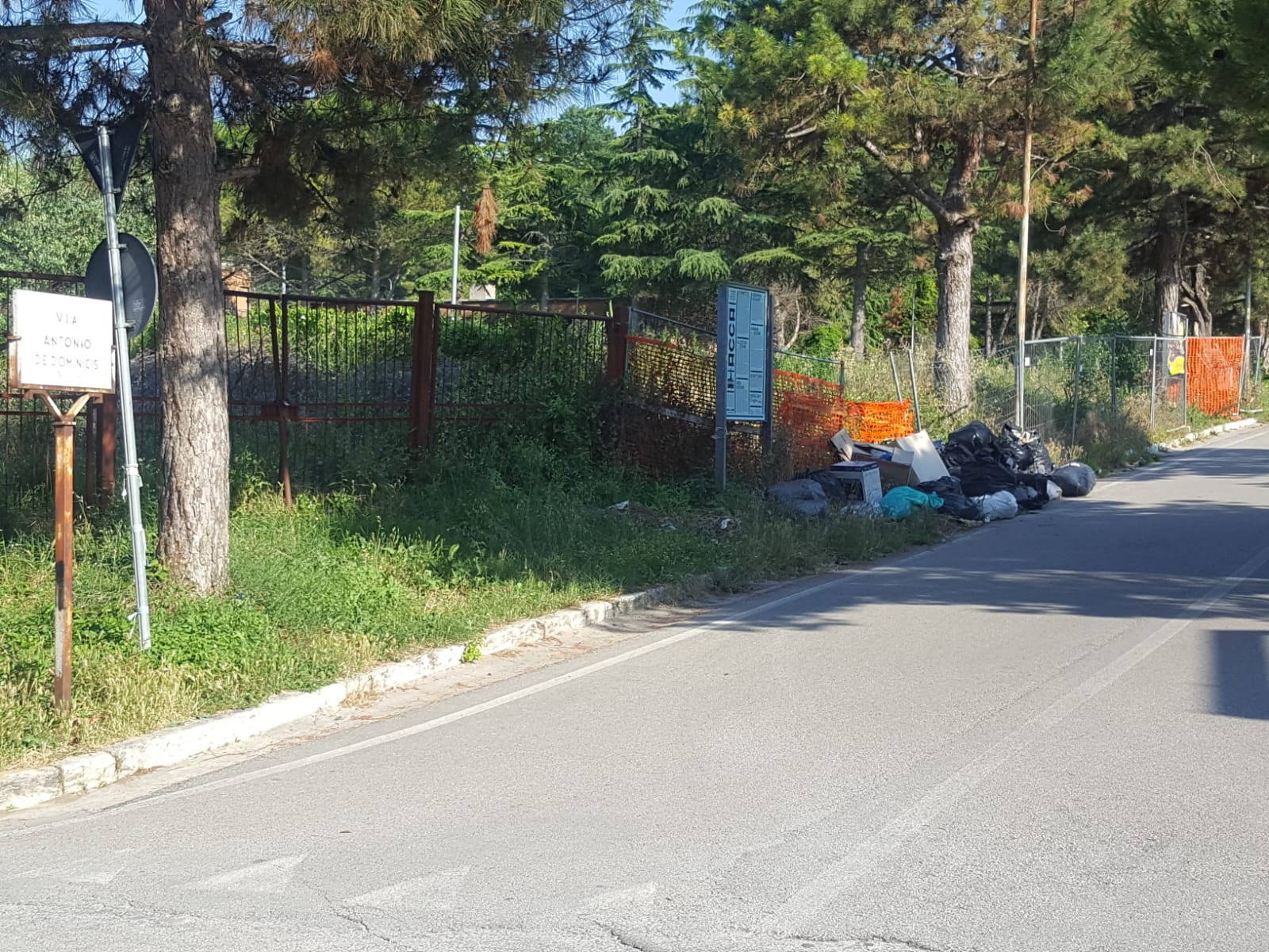 Via De Dominicis, una volta <br> gli sfalci ma adesso di tutto