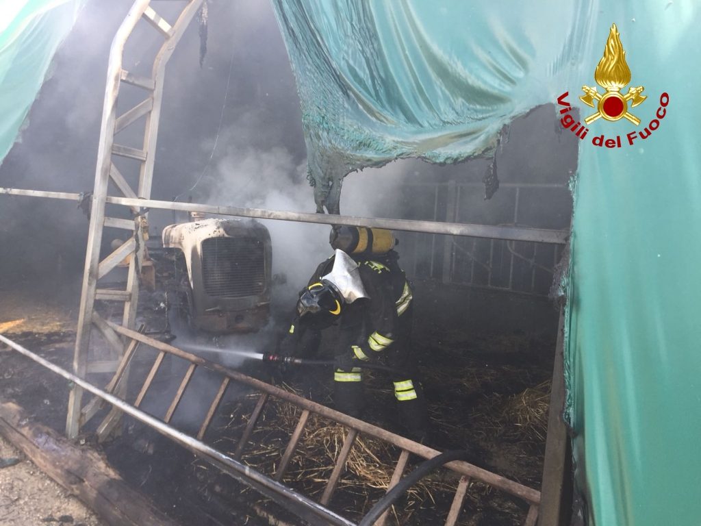 Paura a Cagnano <br> Tensostruttura a fuoco, <br> in fiamme anche un trattore <br><span> (Foto e Video)