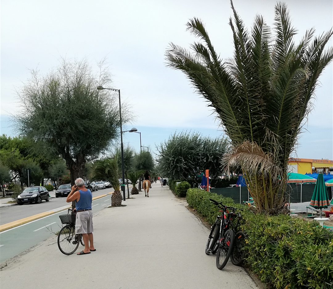 A spasso con il cavallo <br> sul lungomare <br> tra turisti e bagnanti