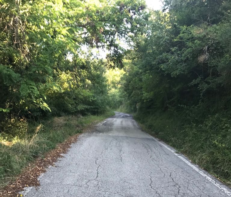Viabilità, chiuso un tratto <br> della strada per Monsampietro Viabilità, chiuso un tratto <br> della strada per Monsampietro
