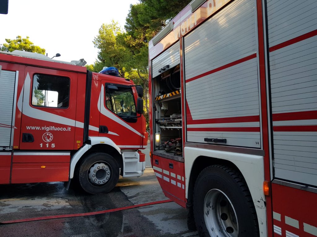 Brucia un bosco di pini, <br> i Vigili del fuoco domano <br> le fiamme dopo tre ore di lavoro