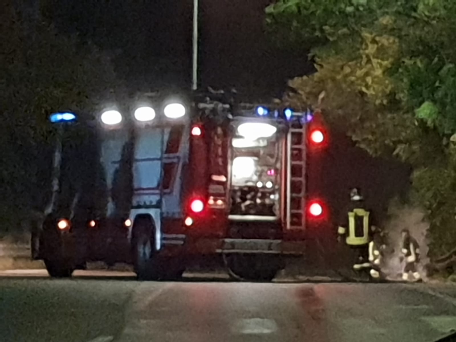 Alberi abbattuti e rami spezzati <br> da pioggia e vento, <br> la Provinciale 91 diventa off limits