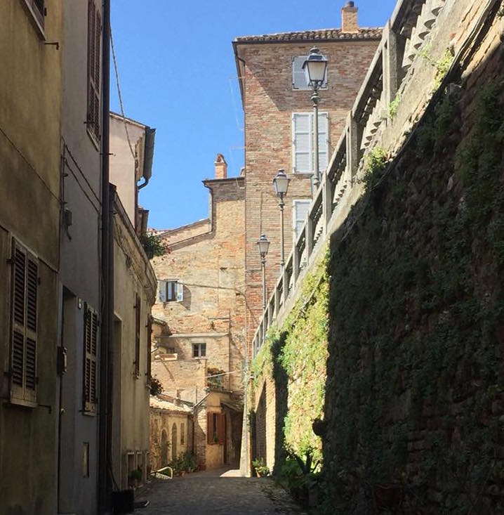 “ViteNeiVicoli”, un nuovo festival <br> per valorizzare viticoltura e cucina locale