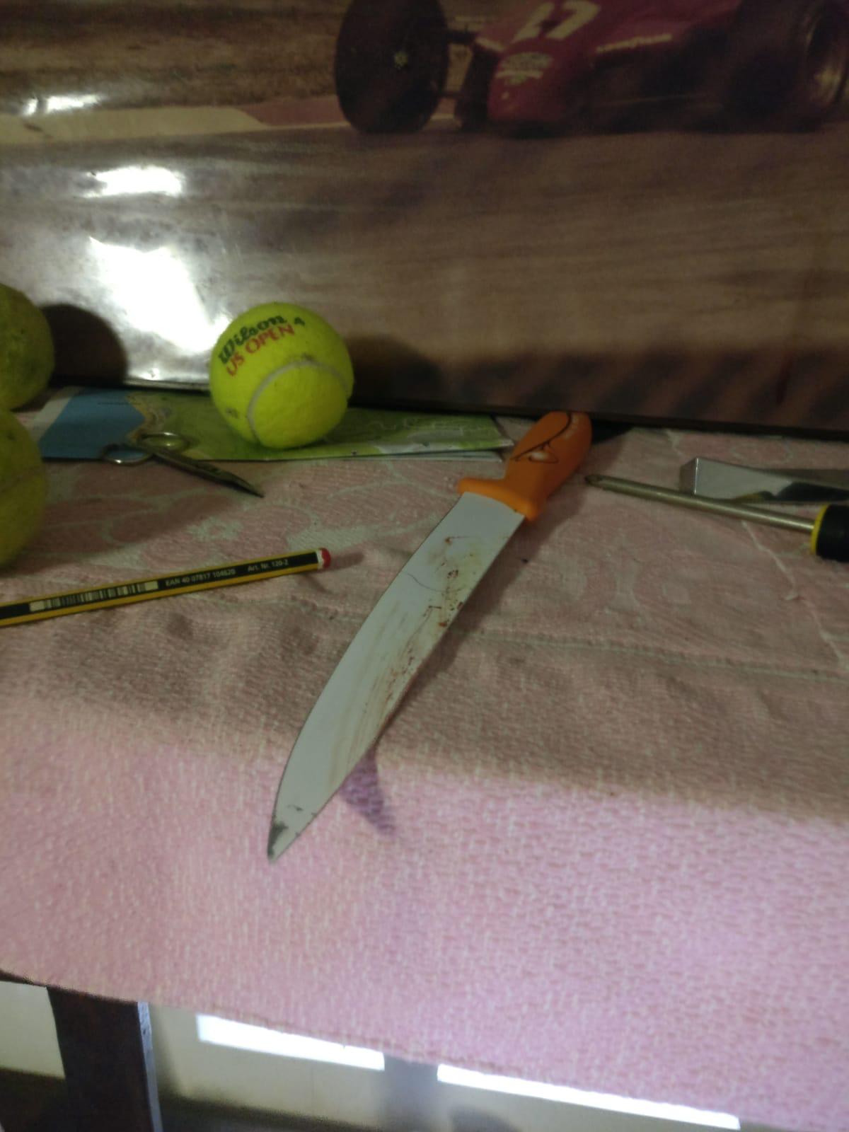Violenta lite in famiglia, <br> madre accoltella il figlio