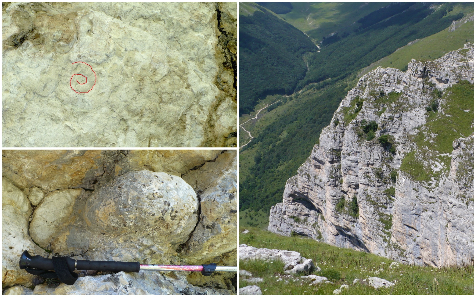 Fossili marini sui Sibillini <br> «Proteggere e valorizzare <br> la Cengia delle Ammoniti»
