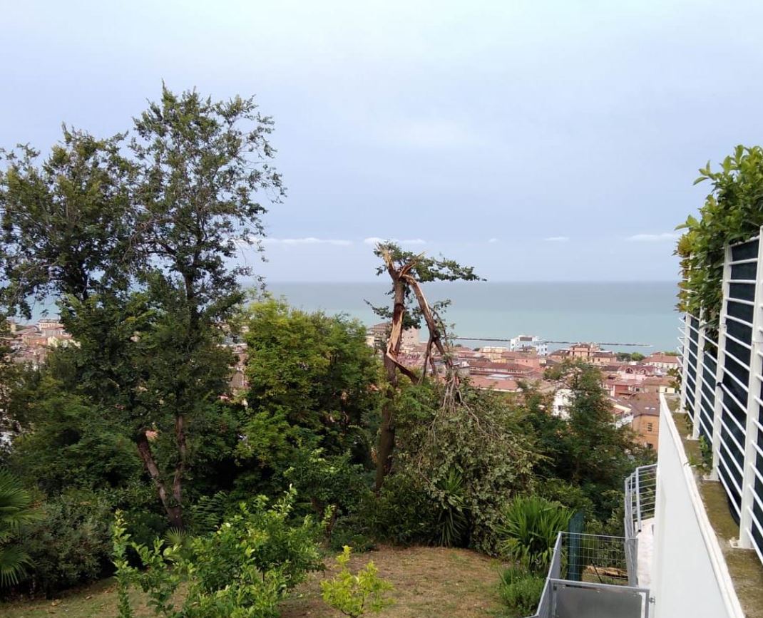 E’ la giornata del verde, <br> ripuliti i percorsi alternativi