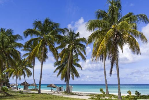 Viaggi a Cuba coi permessi della 104: <br> prof condannato a 1 anno e 4 mesi