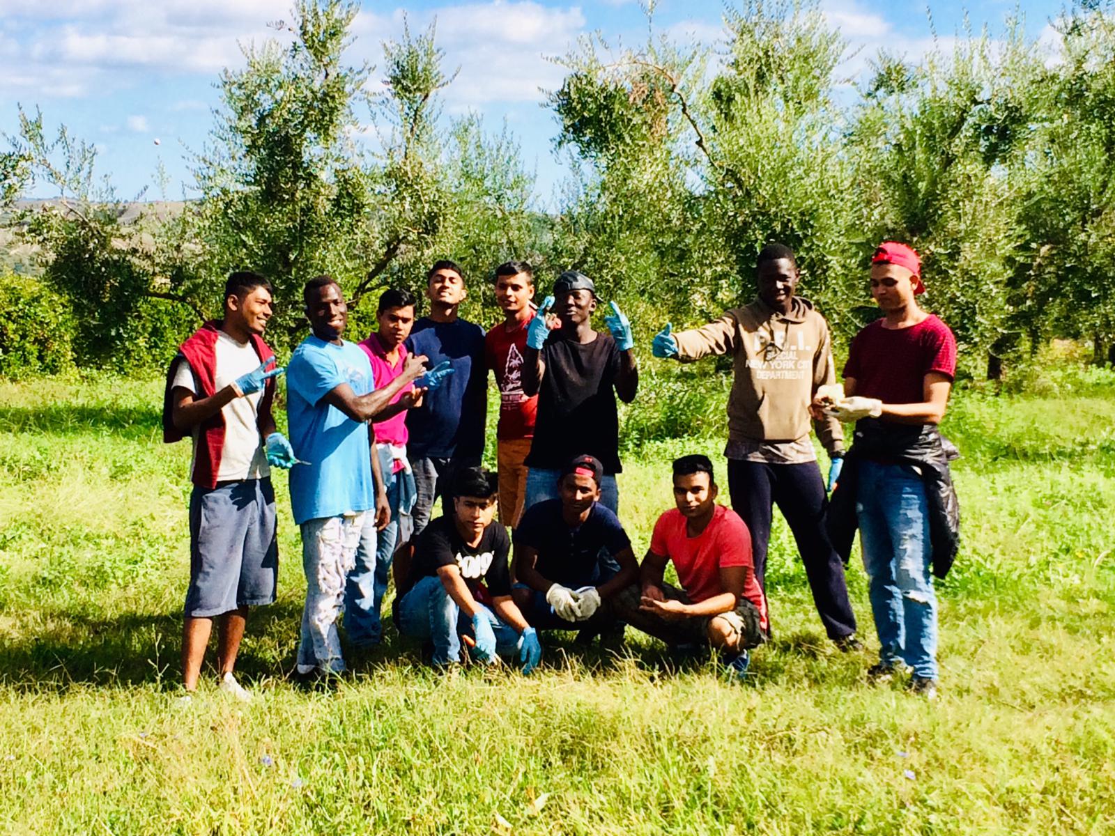 Vendemmia e raccolta delle olive: <br> i migranti si integrano a scuola