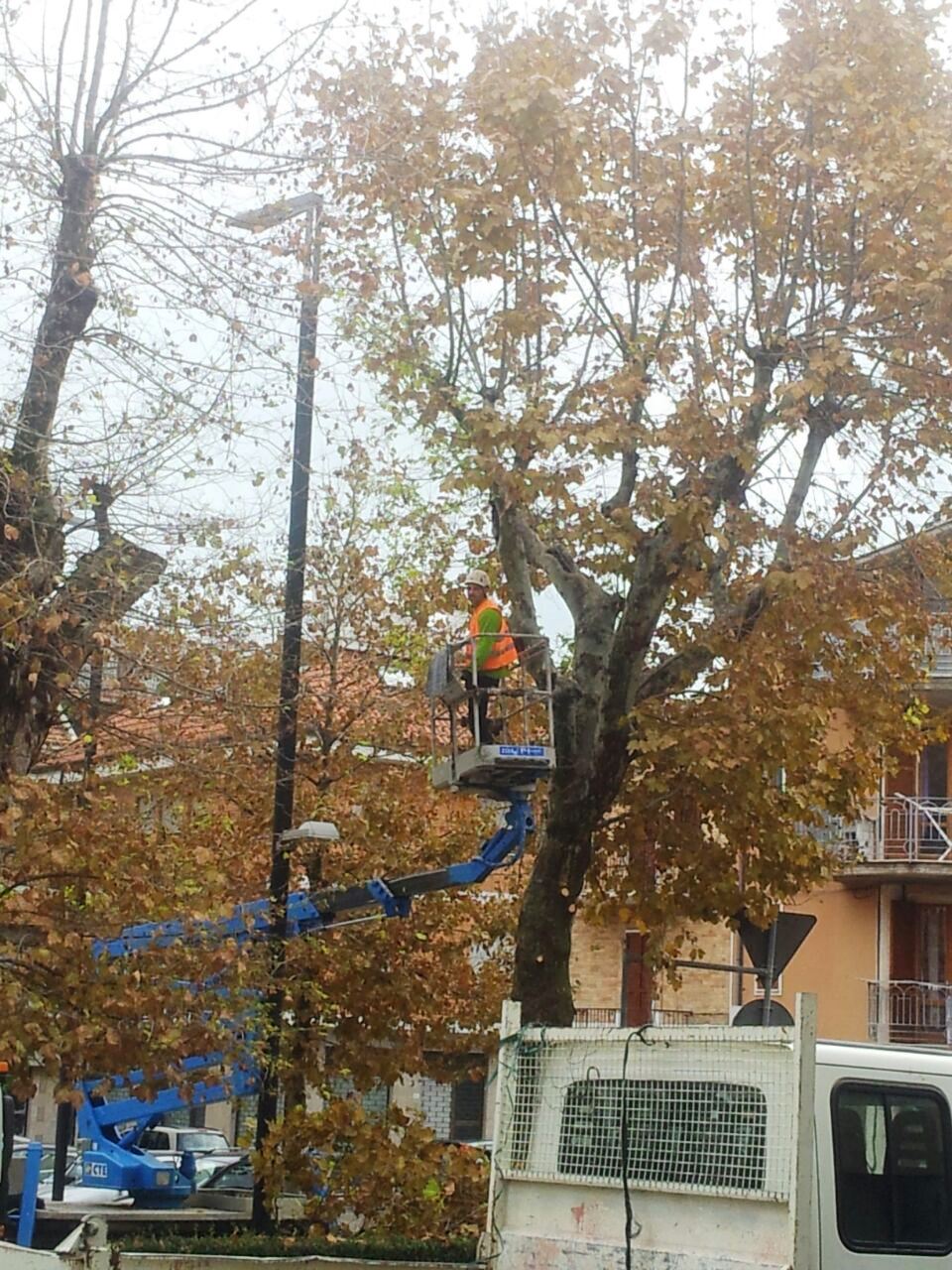 “Verde in sicurezza”, <br> il Comune sistema gli alberi