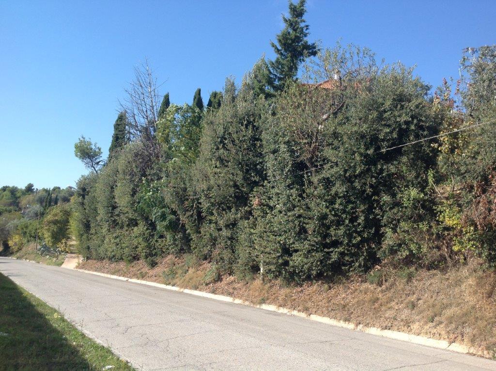 Monte Castello e via Cuprense, <br> al convento dei frati <br> si parla di riqualificazione