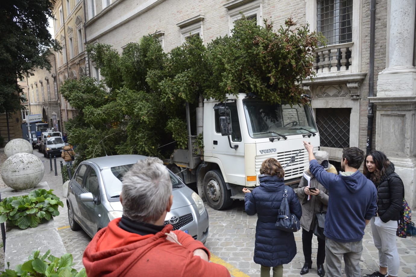 Albero di Natale <br> più grande della strada, <br> traffico paralizzato (Foto)