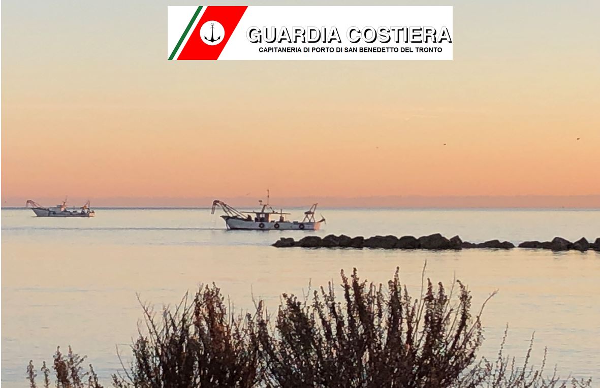 Vongole, pesca irregolare: <br> prodotti sequestrati <br> dalla Guardia Costiera <br> e sanzioni per 16.000 euro