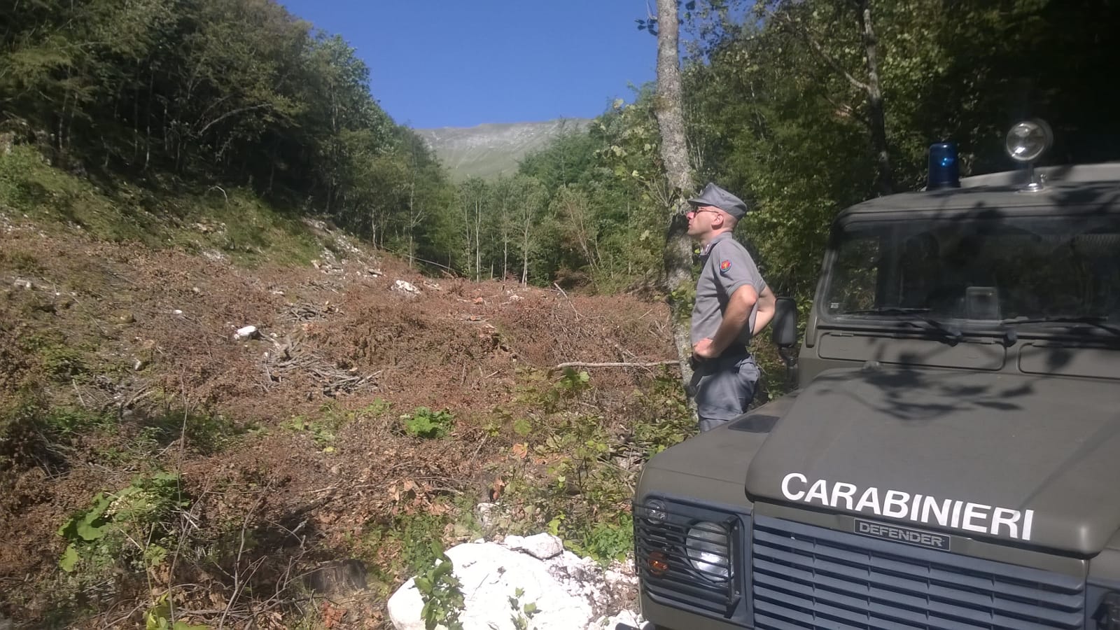 «Infernaccio, sequestrati 400 quintali di legna» <br> Il Parco replica sugli alberi abbattuti
