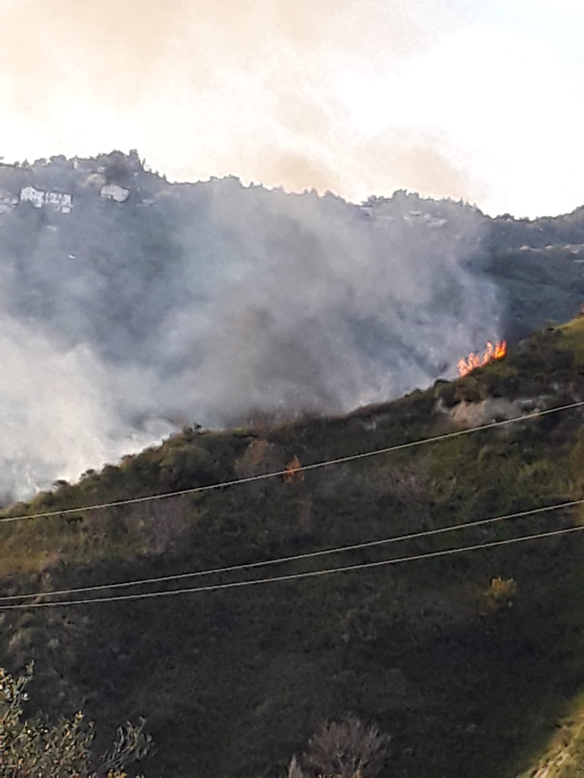 Incendia la collina di Poggio di Bretta: <br> la zona è impervia, pompieri sul posto <span> (Le foto)