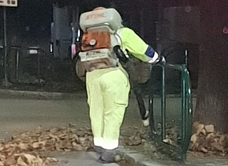 Quando a dare la sveglia <br> agli ascolani sono soffiatori <br> e decespugliatori