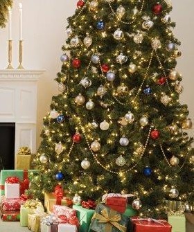 Alberi di Natale <br> in tutte le scuole della città