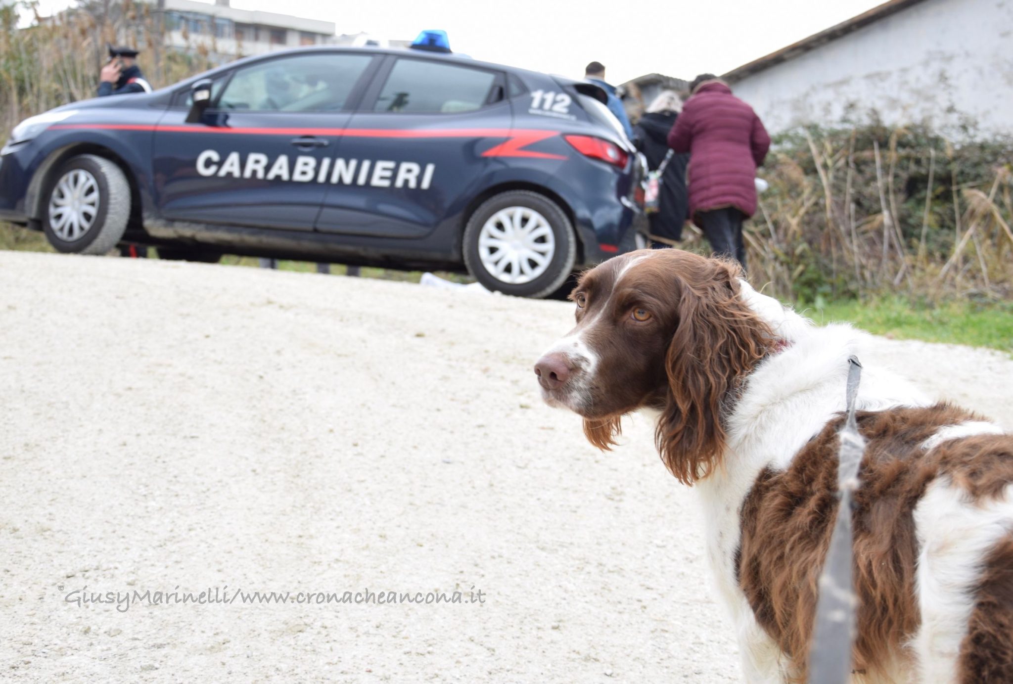 Non torna dopo la passeggiata: <br> trovato morto in un fosso <br> La cagnolina lo veglia tutta la notte (Le foto)