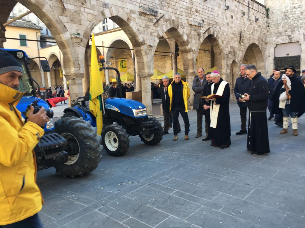 Nel giorno del Ringraziamento <br> Coldiretti in piazza contro il cibo falso: <br> firmano anche Castelli e Sabatini <span> (Foto)