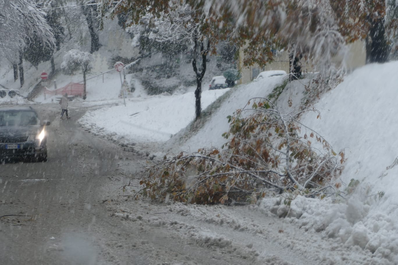 La neve avvolge Maceratese e Anconetano, <br> disagi soprattutto nell’entroterra