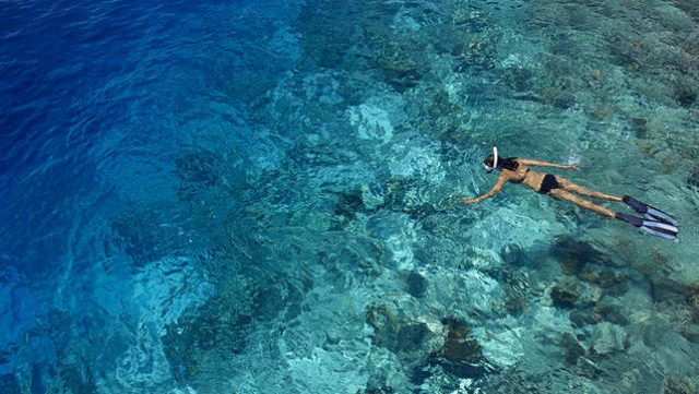 Faceva la bella vita alle Maldive <br> mentre la famiglia non aveva <br> i soldi per le bollette